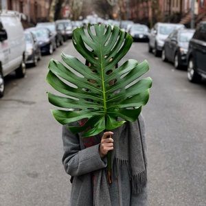 Meet your Posher, Elizaveta